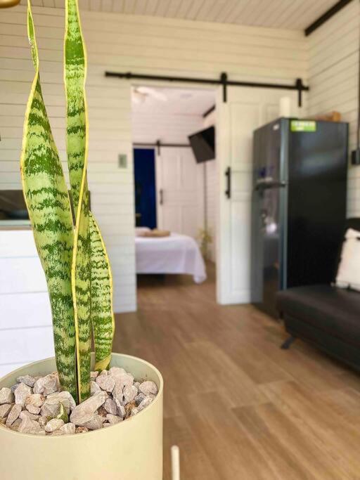 شقة Hoja Azul Loft Guanacaste Hojancha المظهر الخارجي الصورة